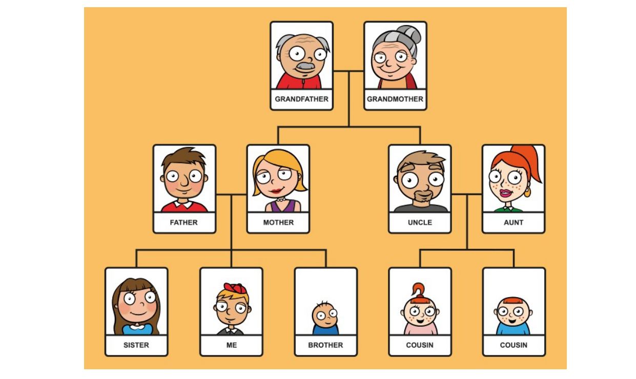 Fiche d'activité : arbre généalogique complet avec grands-parents, parents, oncle, tante, frère, sœur et cousins
